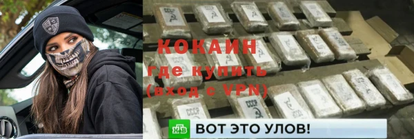 дживик Богданович