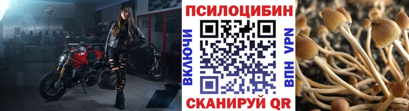 Галлюциногенные грибы Cubensis  Дмитриев 